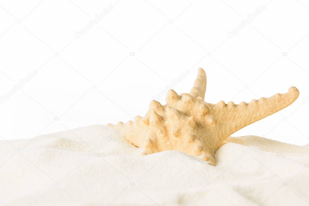 Starfish in beach sand isolated on white