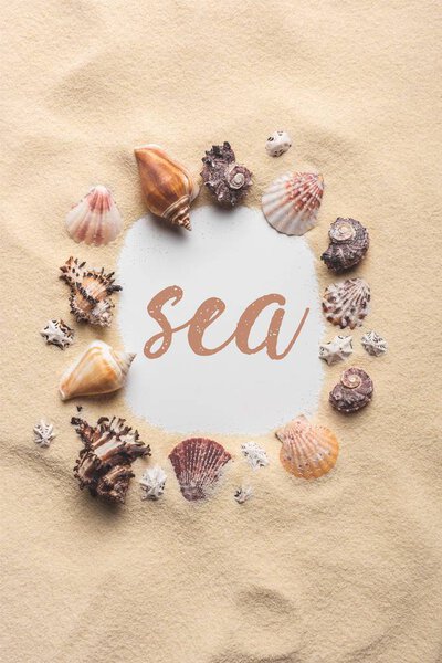 Frame of various seashells on sandy beach with "sea" lettering