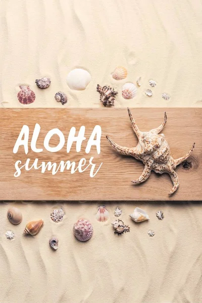 Velké Mušle Dřevěném Molu Písečné Pláži Aloha Léto Nápisy — Stock fotografie