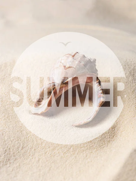 Seashell Fylld Med Sand Sommaren Beach Sommaren Inskription — Gratis stockfoto