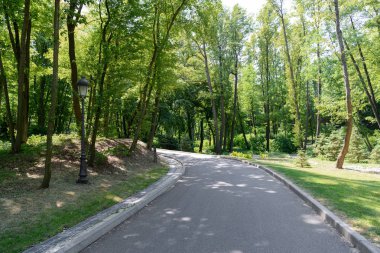 asfalt yolun ağaçları altında güneş ışığı ile parkta doğal görünümü 