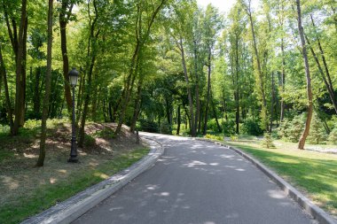 scenic view of asphalt path in park with tress under sunlight  clipart