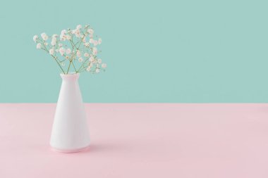 vase with white tender flowers on pink and turquoise with copy space clipart