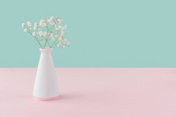 vase with white tender flowers on pink and turquoise with copy space