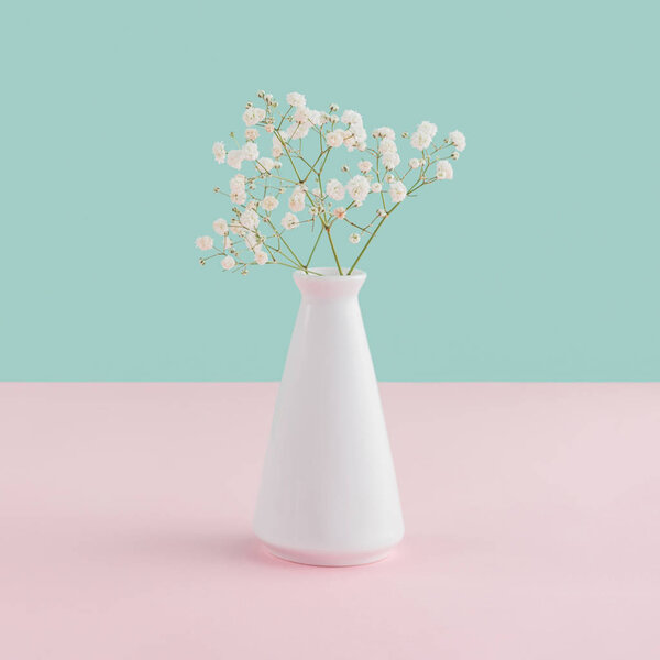 white vase with tender flowers on pink and blue pastel background