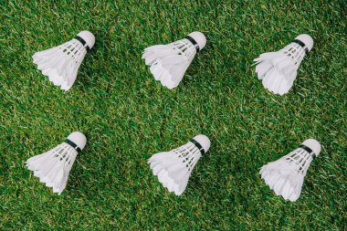 yeşil çimenlerin üzerine düzenlenen badminton oynamak için beyaz shuttlecocks üstten görünüm