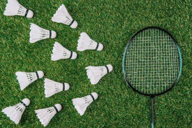 düz lay ile badminton raket ve beyaz shuttlecocks yeşil çim üzerinde