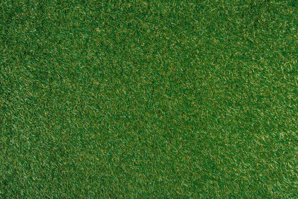 full frame of green lawn as background
