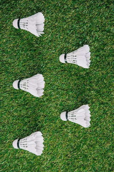 Felülnézete Játék Tollaslabda Rendezett Zöld Gyepen Fehér Tollaslabdák — ingyenes stock fotók