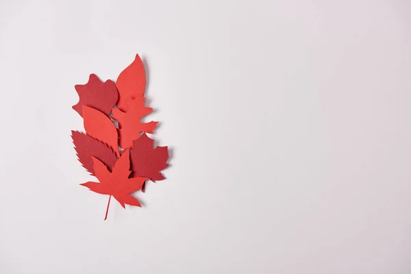 Top View Red Papercrafted Leaves Arranged White Background — Stock Photo, Image