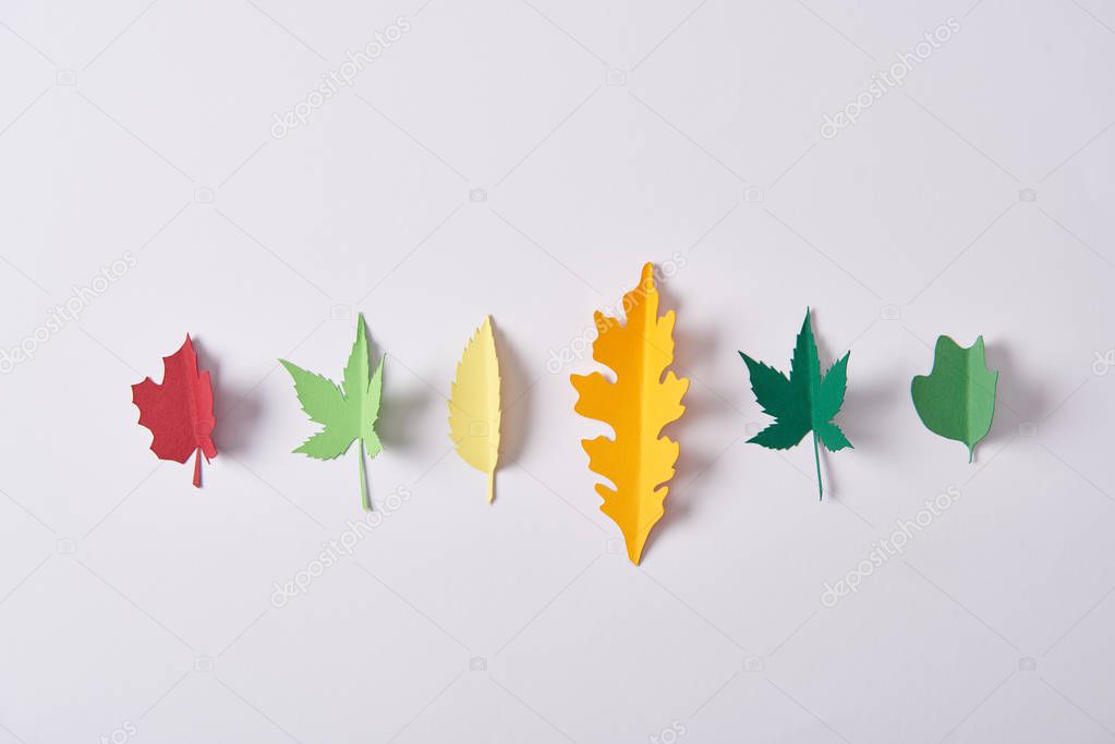 top view of colorful leaves made of paper arranged on white background