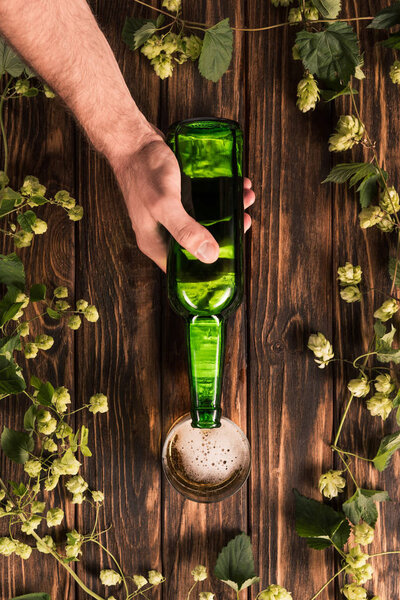 cropped image of man pouring beer into glass at wooden table with hop 
