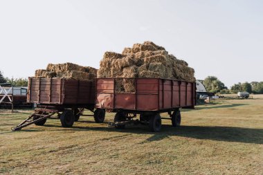 rural scene with two hindcarriage full of stacked hay at farm in countryside clipart