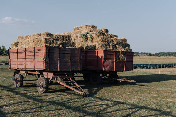 rural scene with two hindcarriage full of stacked hay at farm in countryside