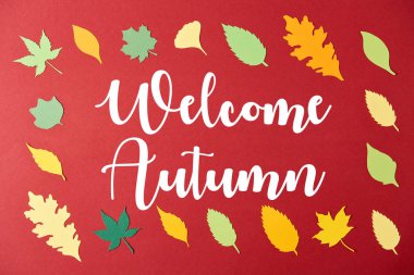 çerçeve renkli papercrafted yapılan 