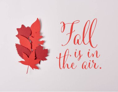 Kırmızı papercrafted üstten görünüm 