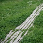 Footpath made of wooden planks surrounded with green grass