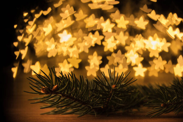 close up view of pine tree branch and golden stars bokeh lights backdrop