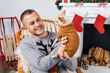 chihuahua köpek Noel için dekore edilmiş oda tutarak gülümseyen adam portresi
