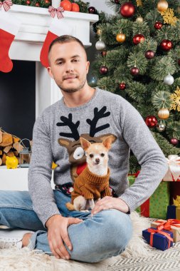 Noel için dekore edilmiş oda küçük chihuahua köpek ile geyik ile kazaklı adam