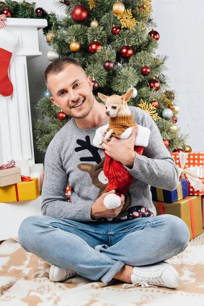 Hombre Sonriente Sosteniendo Adorable Perro Chihuahua Con Árbol Navidad Regalos — Foto de Stock