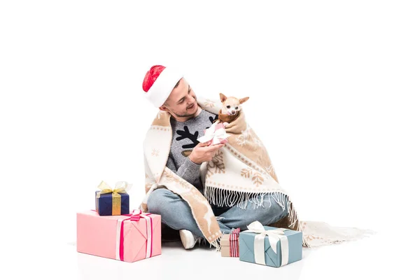 Happy Man Santa Claus Hat Chihuahua Dog Christmas Gifts Isolated — Free Stock Photo