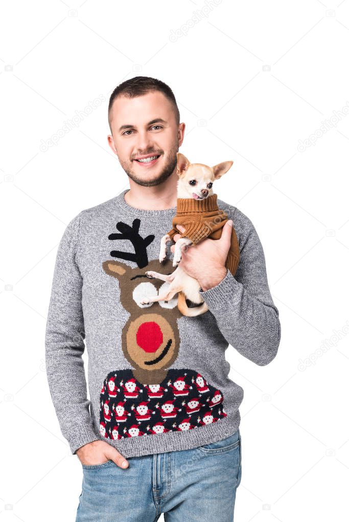 portrait of smiling man in festive winter sweater with little chihuahua dog isolated on white