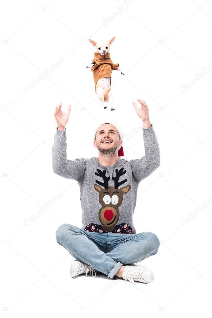 smiling man in santa claus hat having fun together with chihuahua dog in sweater isolated on white