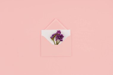 açık pembe zarftan beyaz kartı ve pink izole küçük mor çiçekler ile üstten görünüm 
