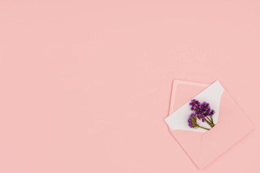 top view of open pink envelope with white card and small purple flowers isolated on pink background  clipart