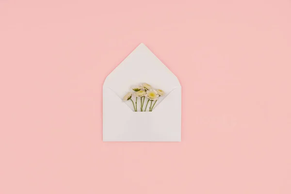 Pohled Shora Otevřené Bílé Obálky Krásné Květy Malé Izolované Růžové — Stock fotografie