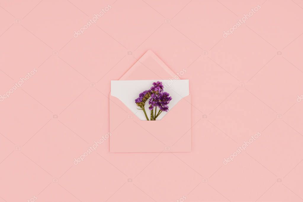 Top view of open pink envelope with white card and small purple flowers isolated on pink