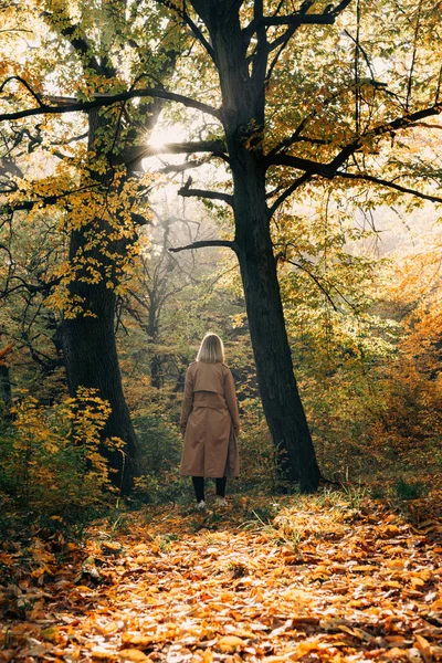 Back view of woman standing in autumn forest and looking at trees