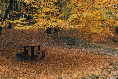 Wooden benches and table in autumn park  clipart