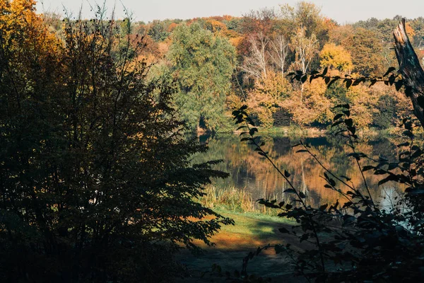 Sunshine on lake in peaceful autumn forest 