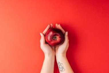 Olgun büyük elma kırmızı zemin üzerine tutarak dövmeli kadın el üstten görünüm