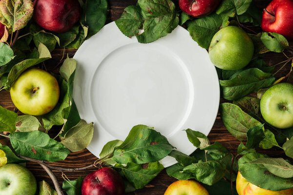 top view of white plate, multicolored apples and  branches with leaves on wooden table 