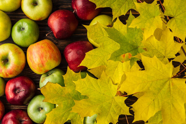 top view of ripe multicolored apples and yellow maple leaves on wooden table 