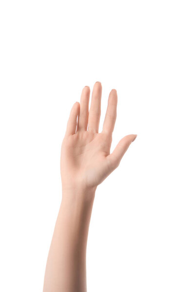 обрезанный вид женщины рука изолирована на белом
