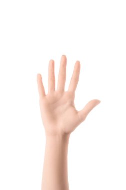partial view of woman showing number 5 in sign language isolated on white clipart