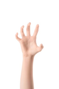 cropped view of woman gesturing with hand and imitating animal paw isolated on white clipart