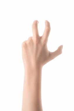 cropped view of woman gesturing with hand and imitating animal paw isolated on white clipart