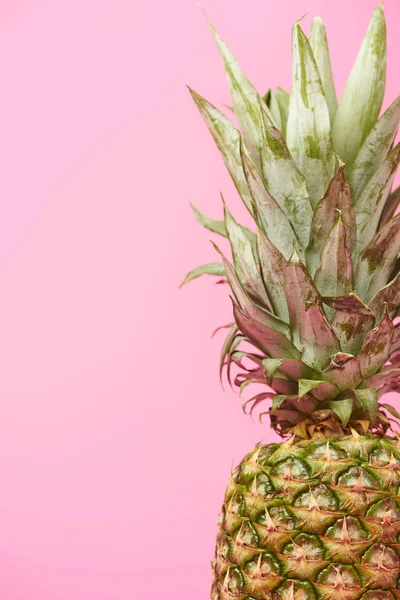 Nahaufnahme Von Bio Ananas Isoliert Auf Rosa — Stockfoto