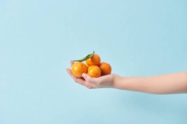 Kırpılan görünümünü el üzerinde izole mavi organik mandalina tutan kadın 
