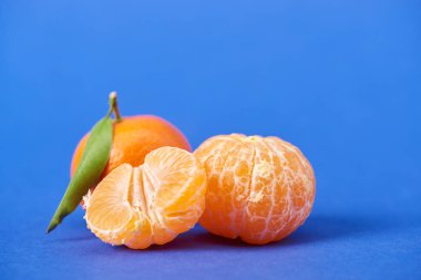 half of peeled tangerine near whole clementines on blue background  clipart