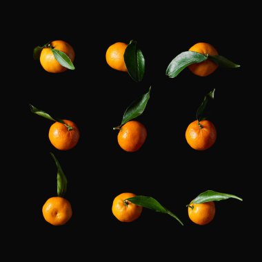 tasty orange tangerines with green leaves isolated on black clipart