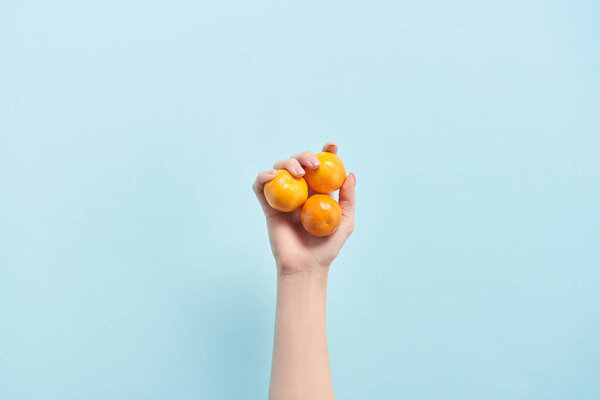 cropped view of woman holding orange tangerines in hand isolated on blue 