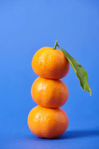 Tangerinas Orgânicas Suculentas Com Raspas Folha Verde Fundo Azul — Fotografia de Stock