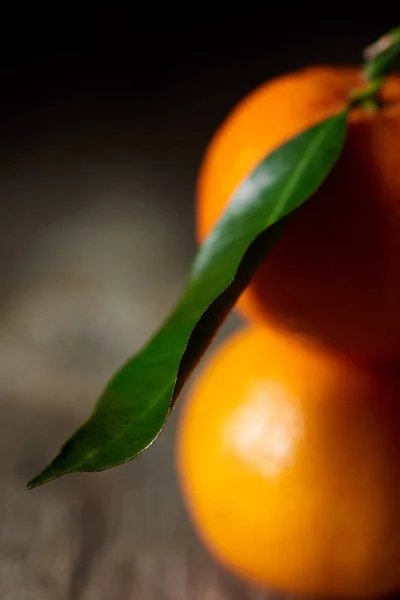 Selektiv Fokus För Gröna Blad Ekologisk Mandarin — Stockfoto