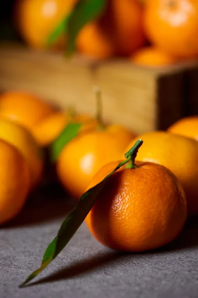 Szelektív Összpontosít Narancssárga Clementine Mandarin Zöld Levelekkel Közelében — Stock Fotó